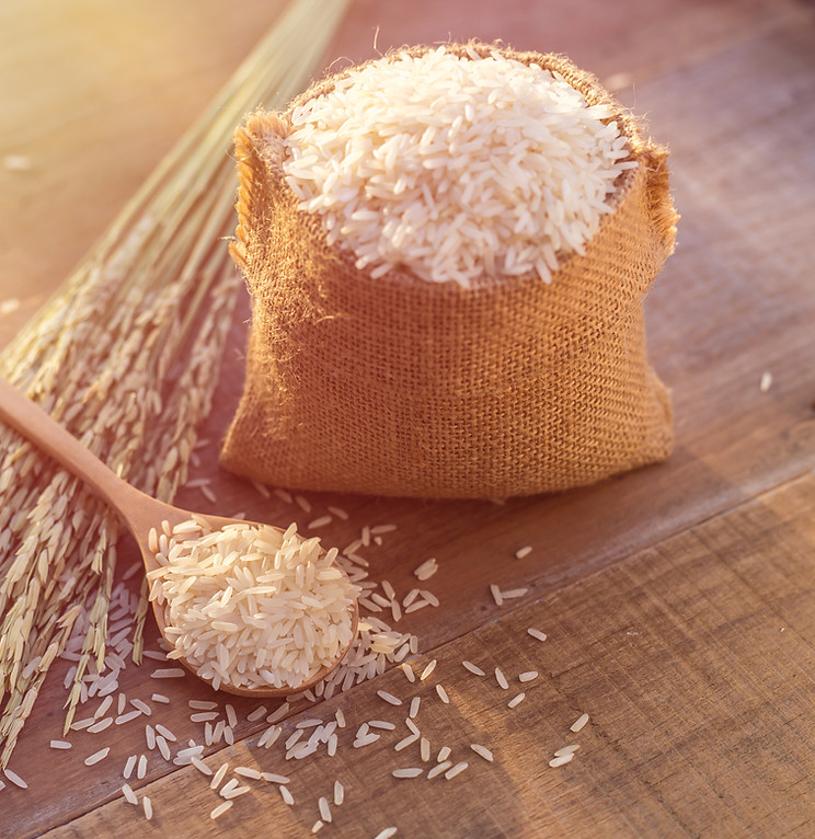 Organic rice used for rice syrup and rice protein