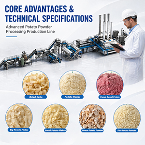 500kg/h High Yield Fully Automatic Sweet Potato Starch Production Line 98% Extraction Rate Low Energy Consumption