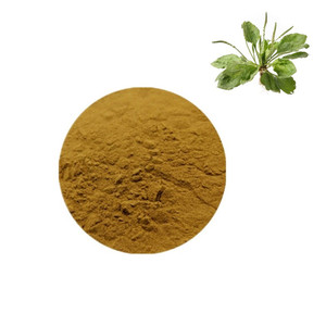 Factory Supply High Quality Plantago Extract Powder Bulk