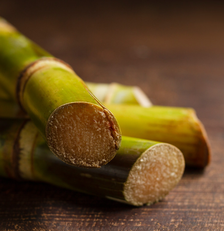 Organic cane sugar close-up
