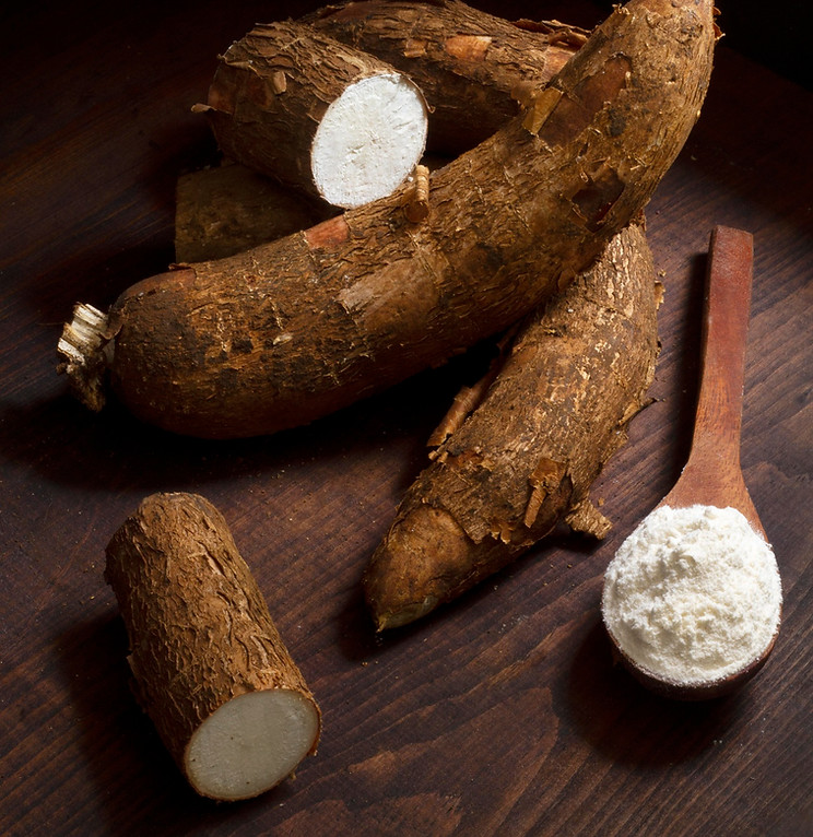 Tapioca roots and tapioca starch ingredients